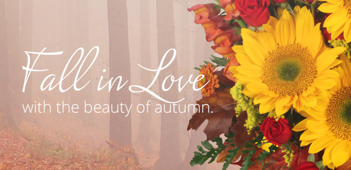 Petals 'N Blooms — vendor image