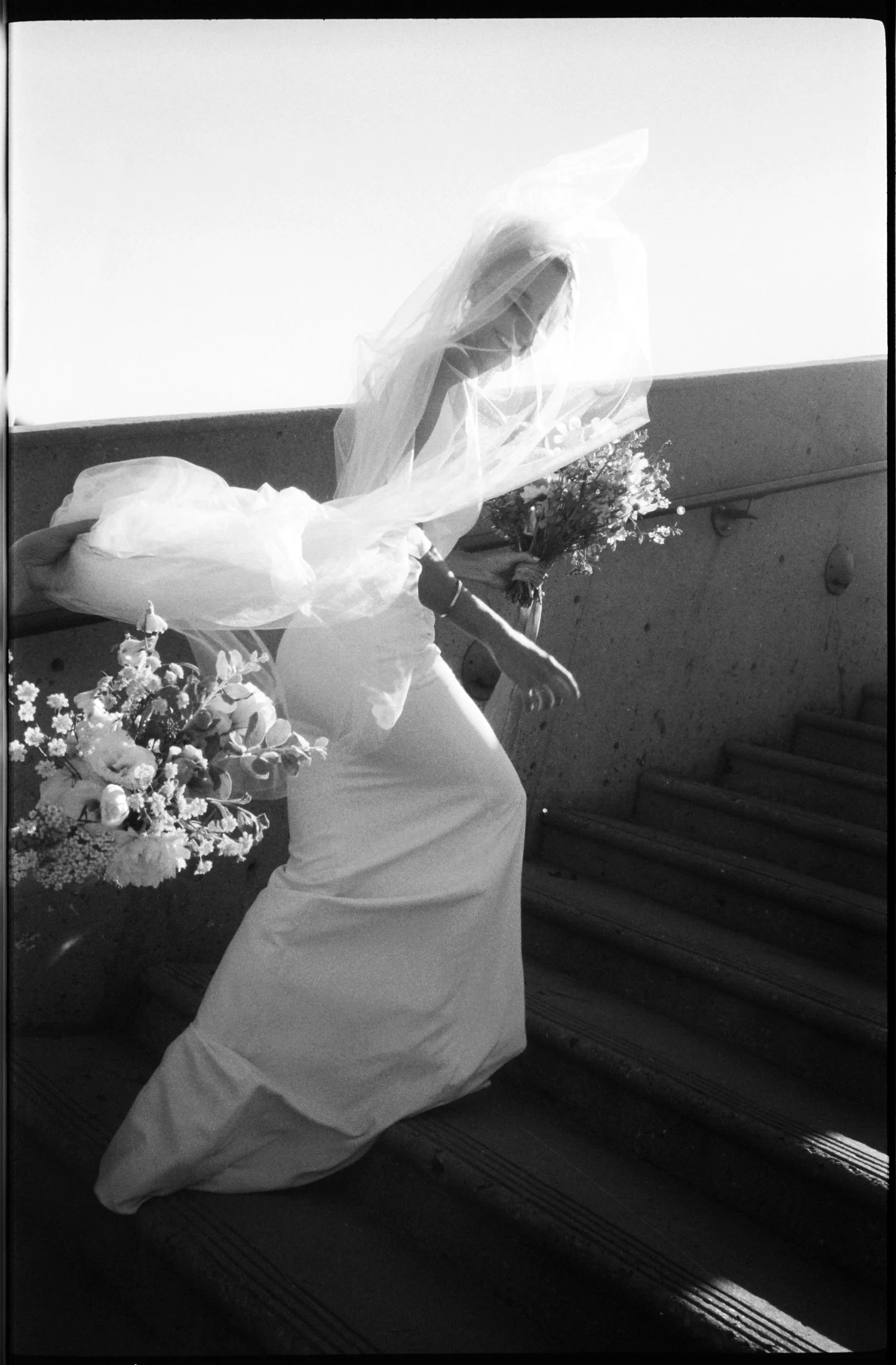 Nicole Plett — Photographers in New York, NY