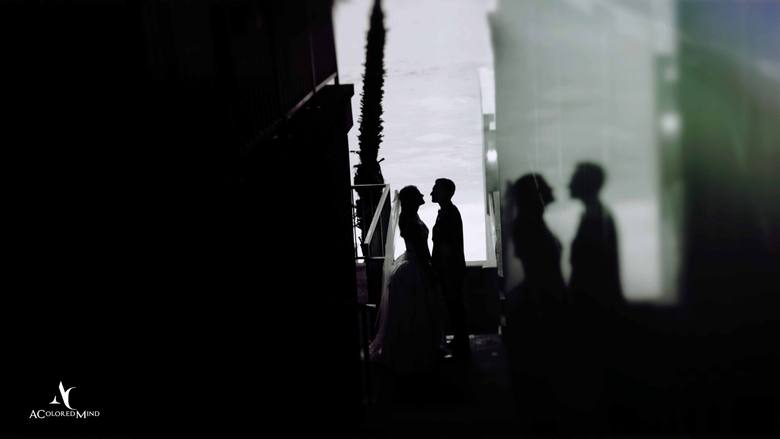 A Colored Mind Wedding Videography & Photography — vendor image