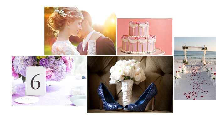 Toronto, - ON - Florists Provide Wedding Flowers, Centerpieces And More At Wedding And Party Network — vendor image