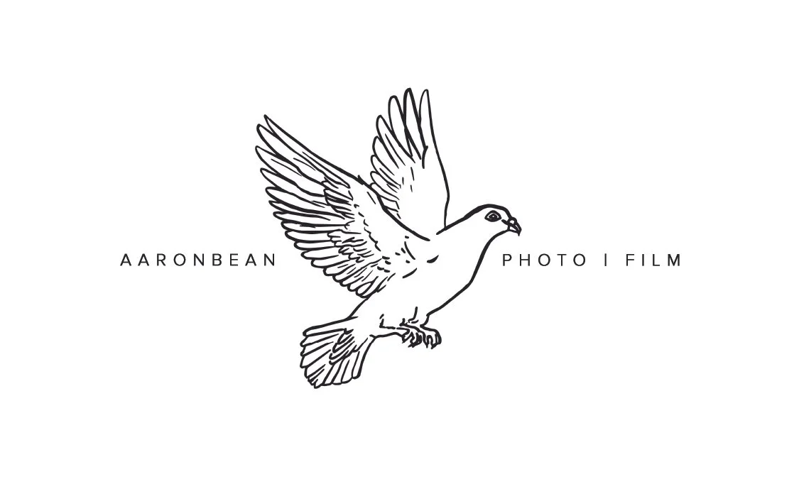 Aaron Bean — Videographers in Chicago, IL