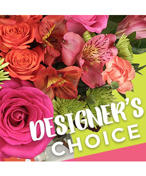 PRIMROSE CHICAGO — vendor image